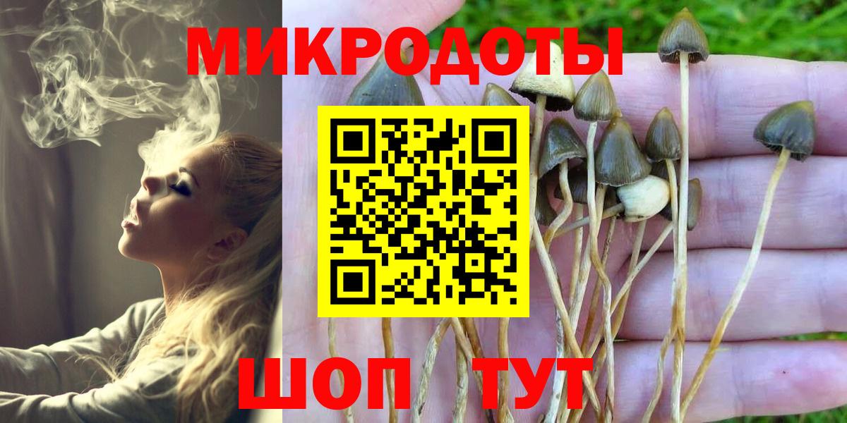 Псилоцибиновые грибы мицелий Сорочинск