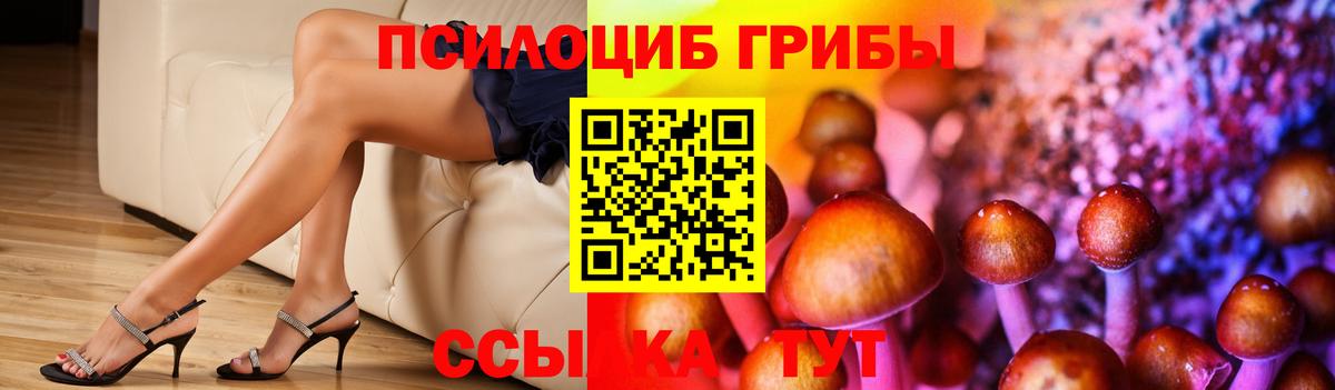 Сорочинск  Галлюциногенные грибы Cubensis  Галлюциногенные грибы мухоморы  Вход с VPN 